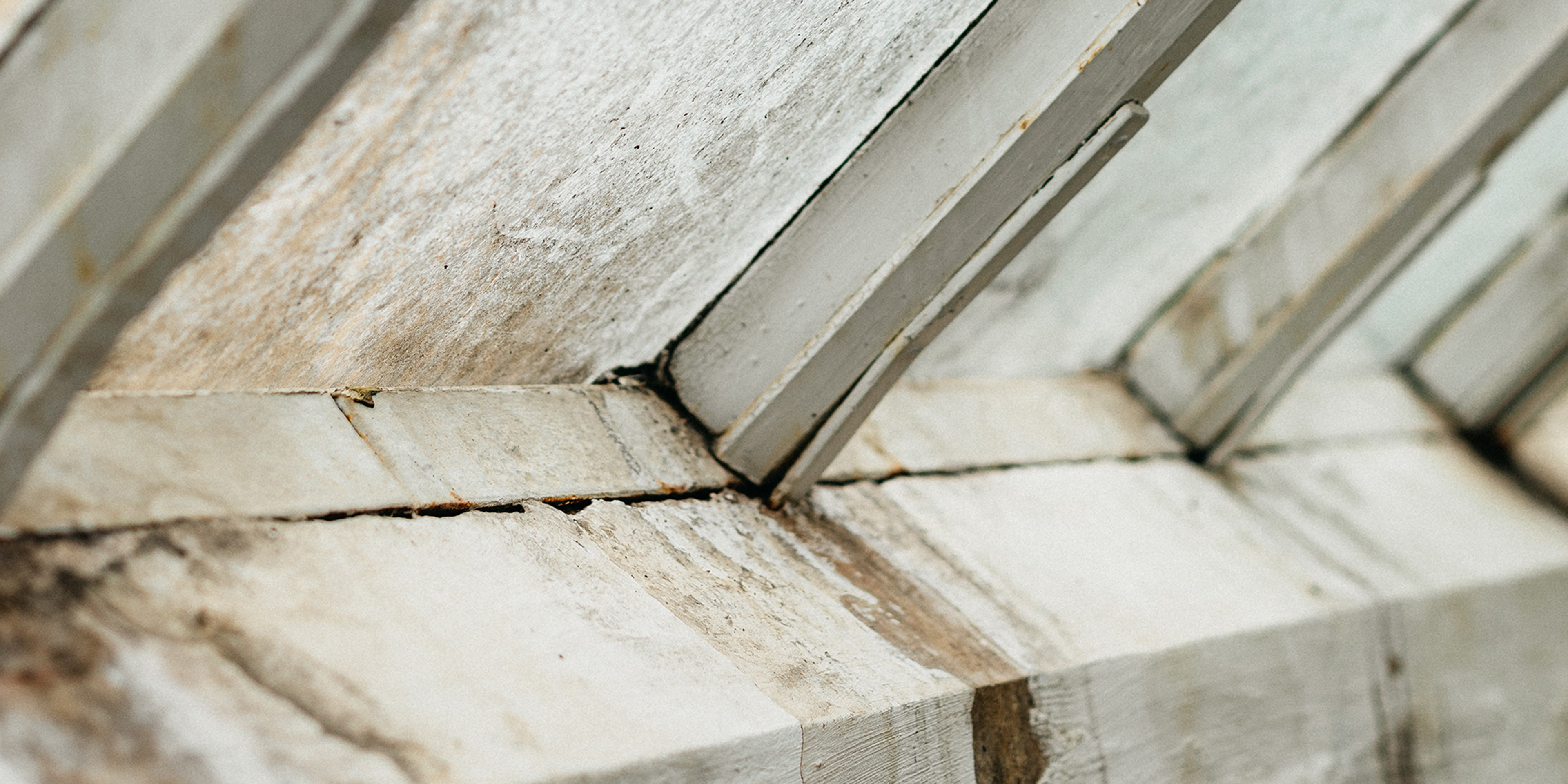 Landlord responsibility damp and mould in social housing